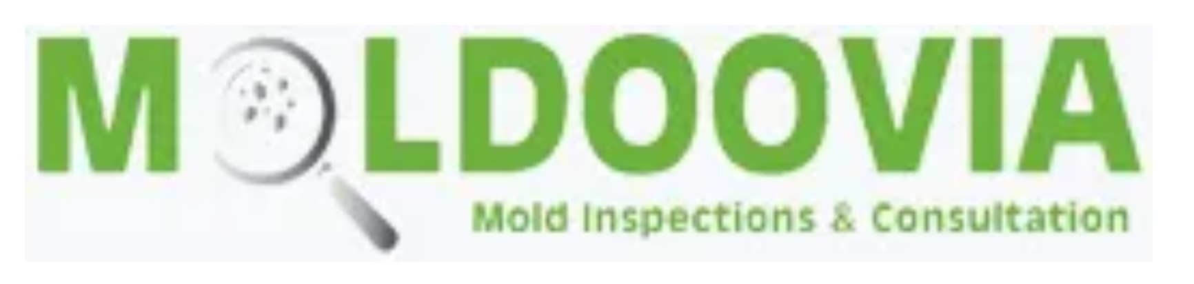Logo for Moldoovia: Green text with a magnifying glass over the 