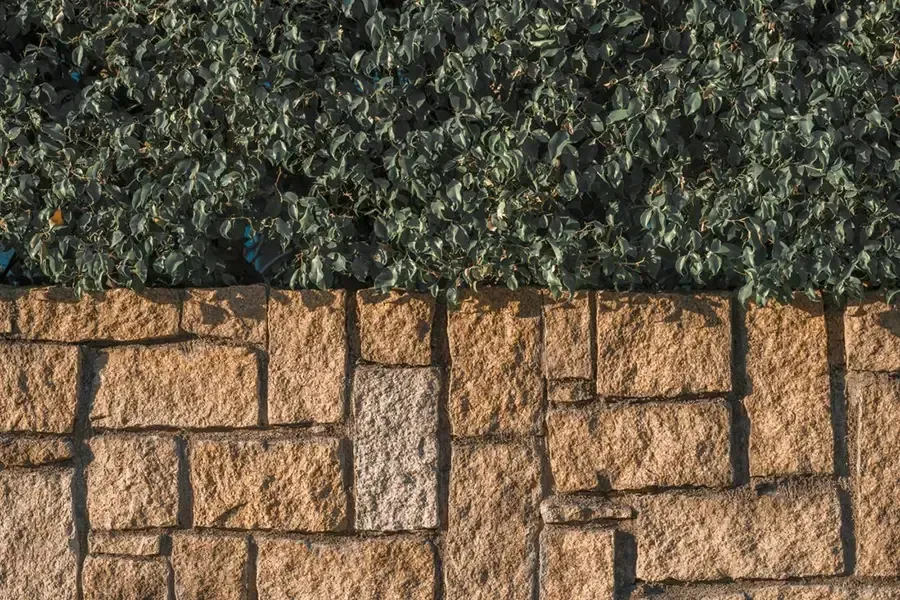 Grass above a tan stone retaining wall