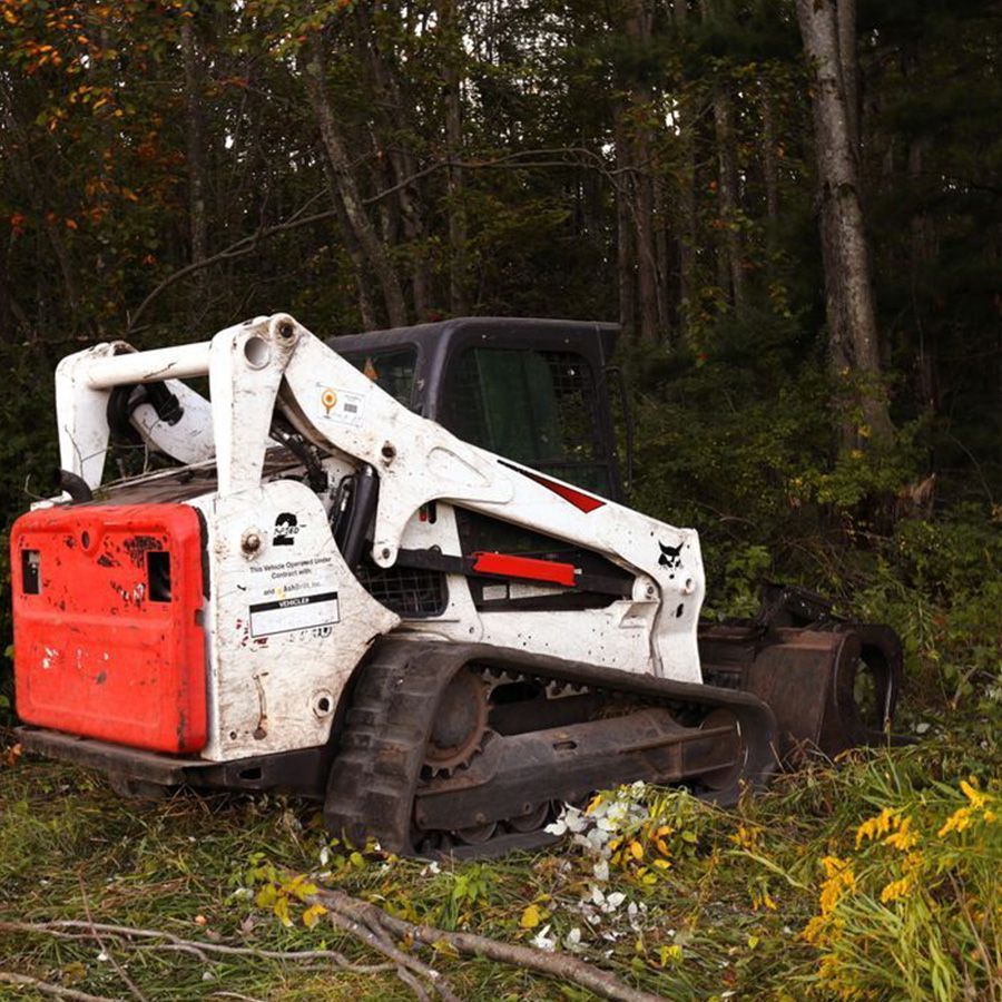 Small white and red skid-steer loader parked in overgrown woods