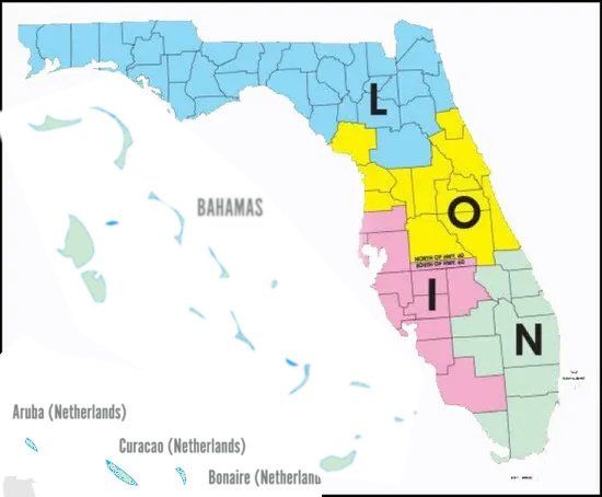 A map of florida showing the states l o and n