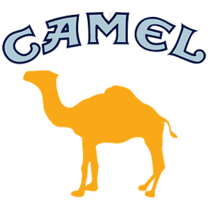 Word “CAMEL” above an orange camel silhouette on a white background