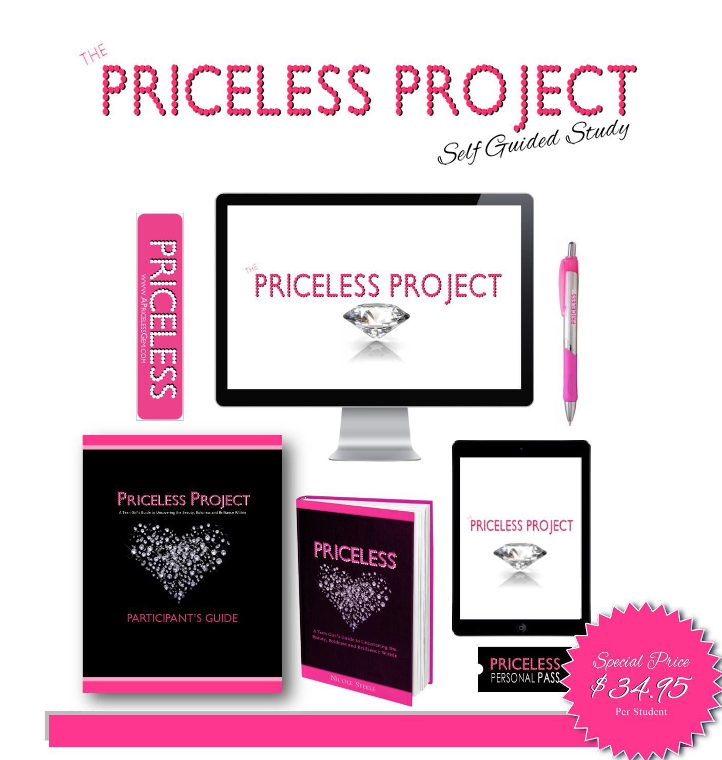 The Priceless Project - Self Guided Study (per student price)