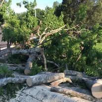 Broken tree branches piled on a rooftop beside green trees outdoors