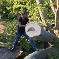 Person in black shirt and jeans pushing a large log in a wooded yard