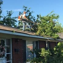 Worker using a chainsaw to cut tree branches on a house roof.