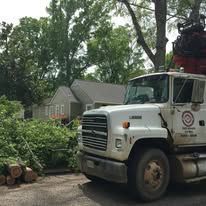 White utility truck parked beside fallen tree branches in a wooded residential yard