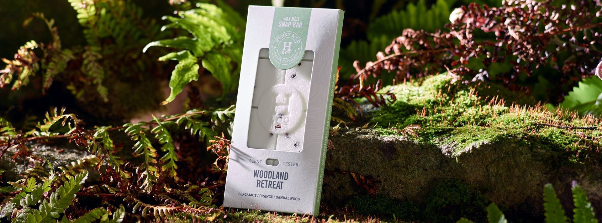 Are Wax Melts safe for the home and pets?