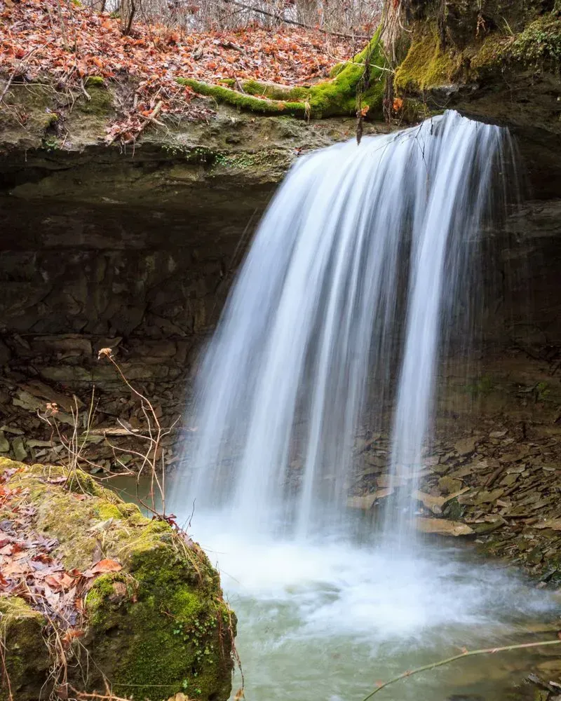 Small waterfall flowing into a rocky pool in a mossy forest.