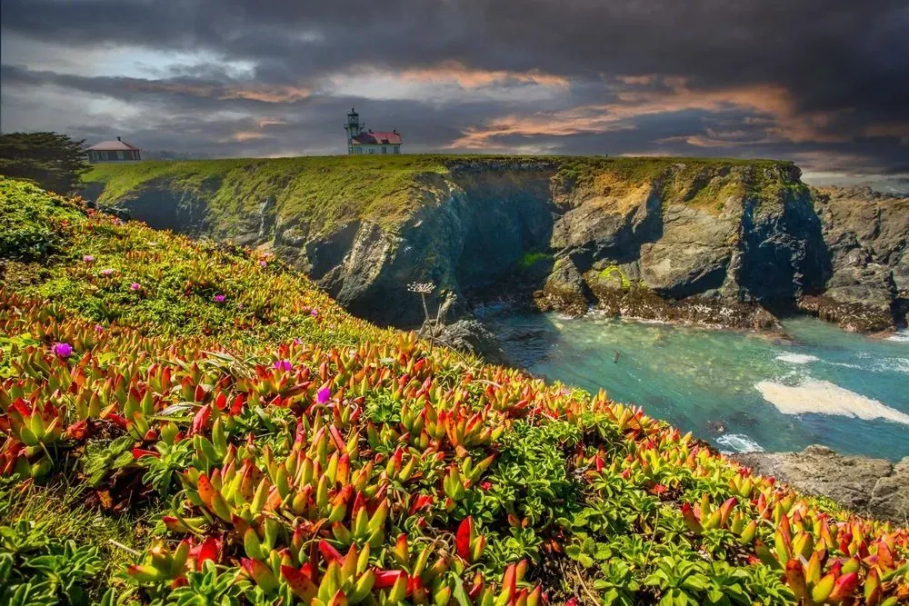 Coastal cliffs above turquoise surf, with colorful flowers in the foreground under a cloudy sunset sky