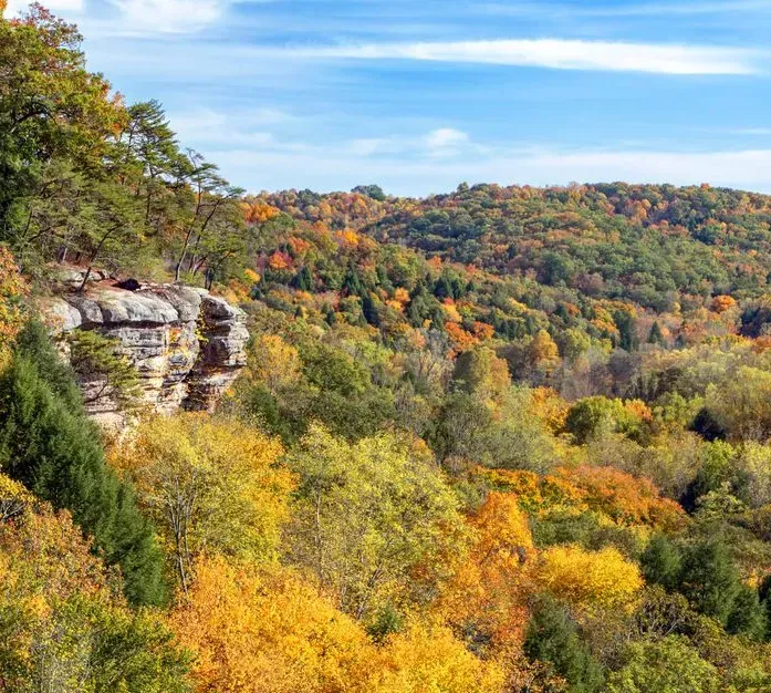 Autumn forested hillside with colorful fall foliage and a rocky cliff under a blue sky