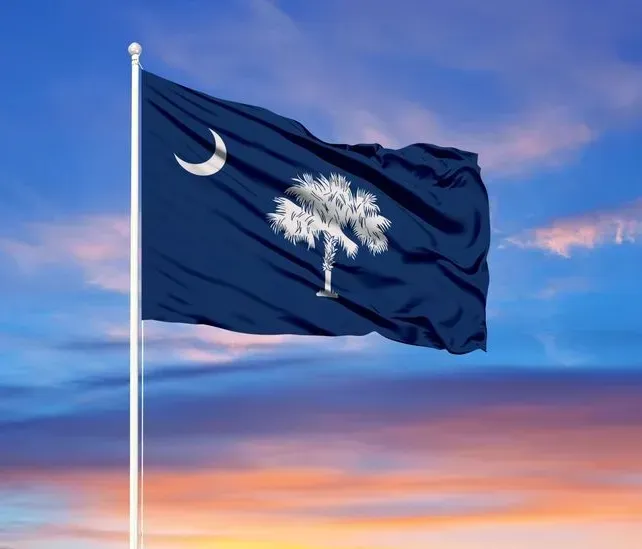 South Carolina state flag waving against a pastel sunset sky