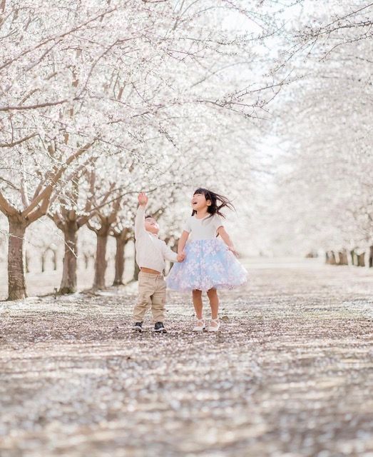 A boy and a girl are standing under almond blossom trees.