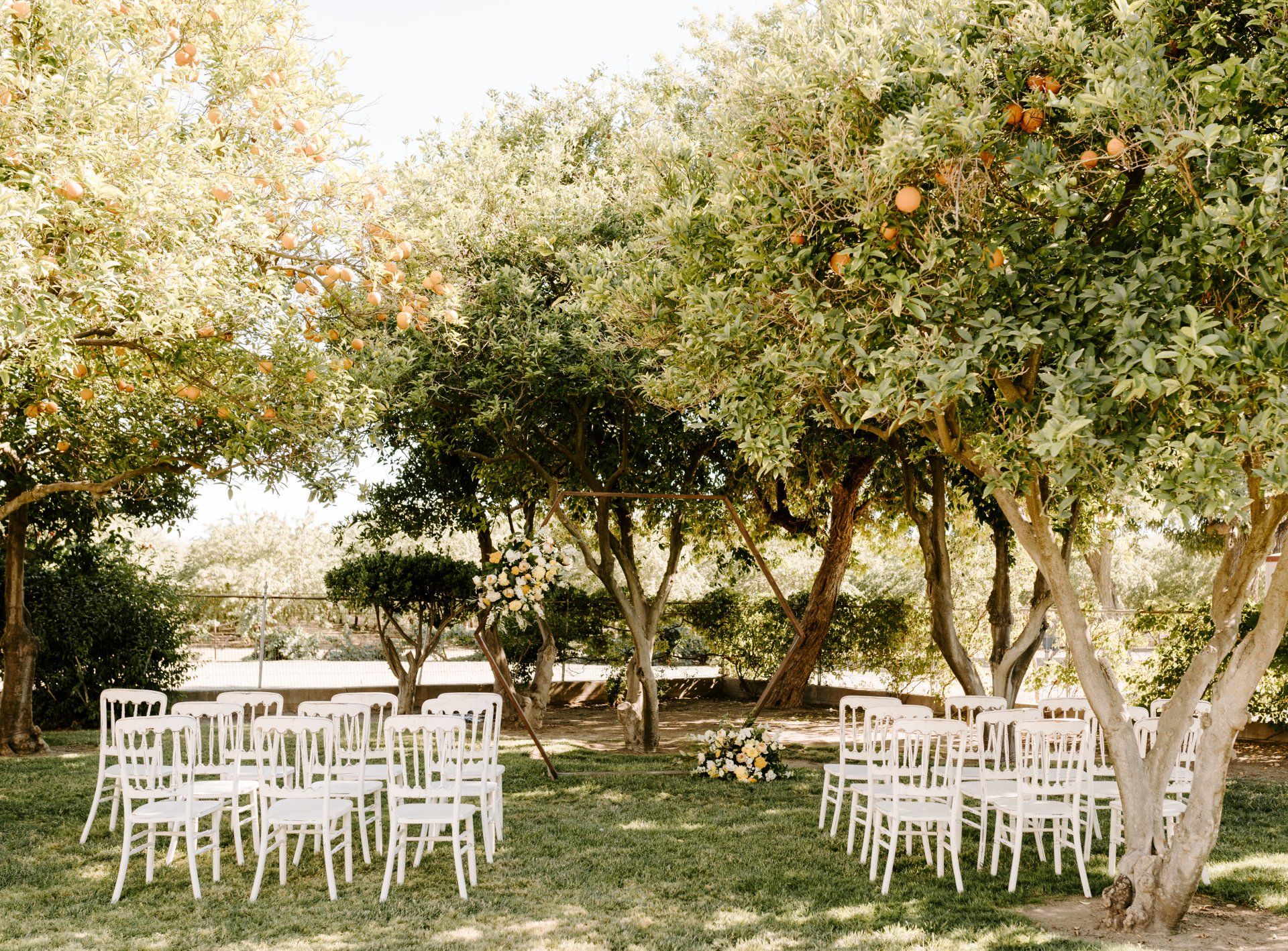 Weddings