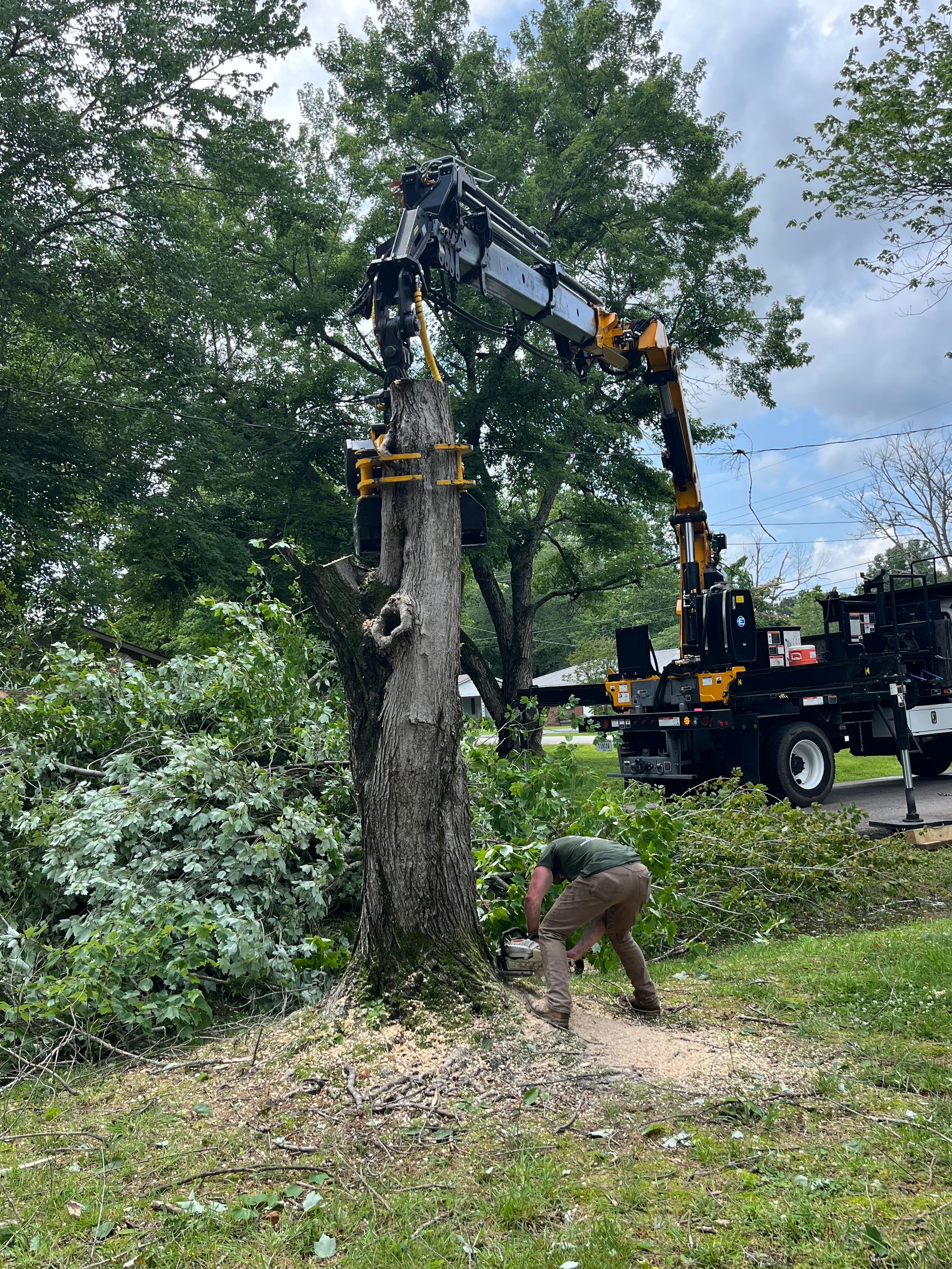 Kinsey LLC Tree Service | Project Gallery | Paris, TN and Surrounding Areas