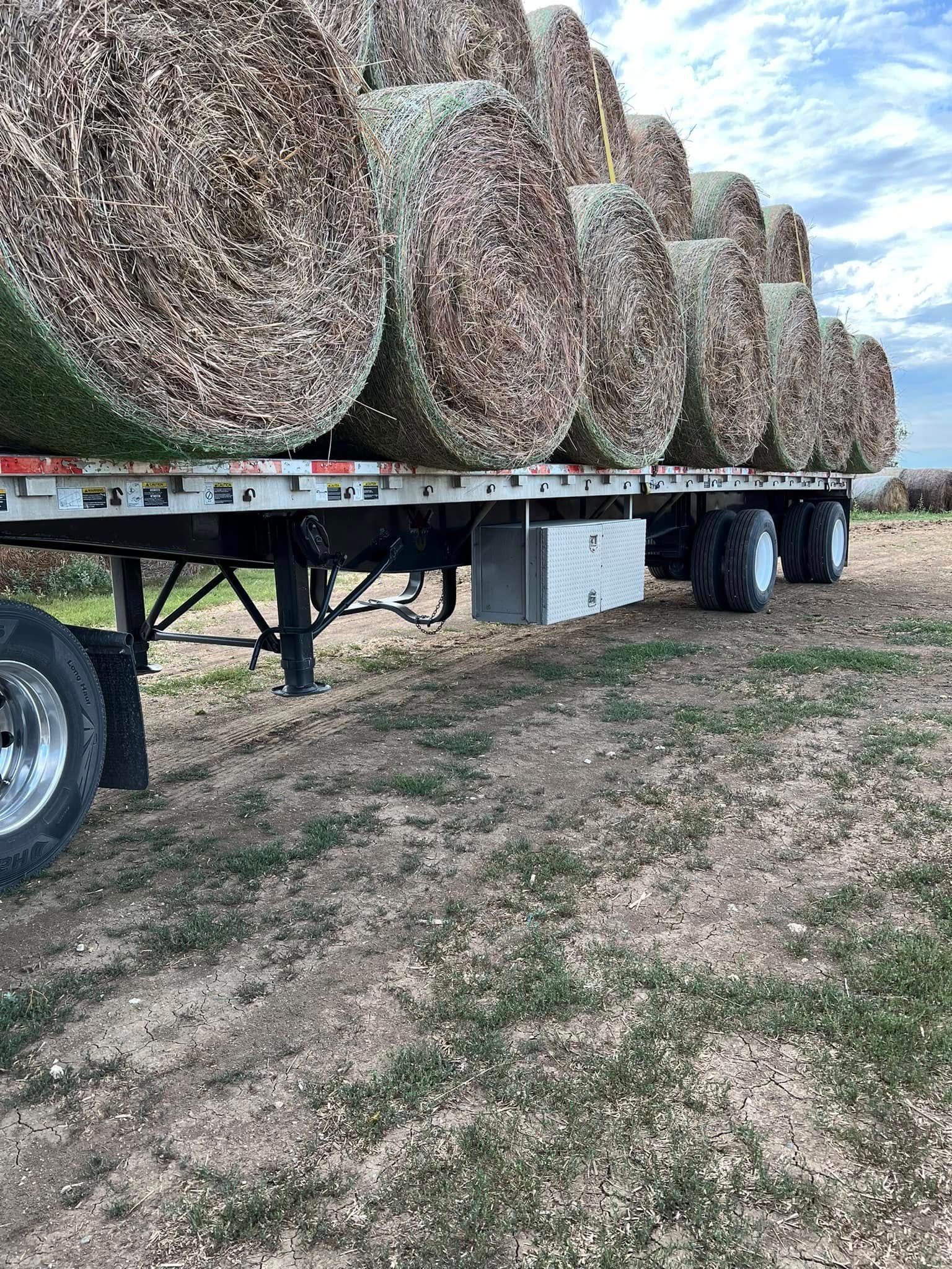 Flatbed trailer loaded with large round hay bales in a grassy field.