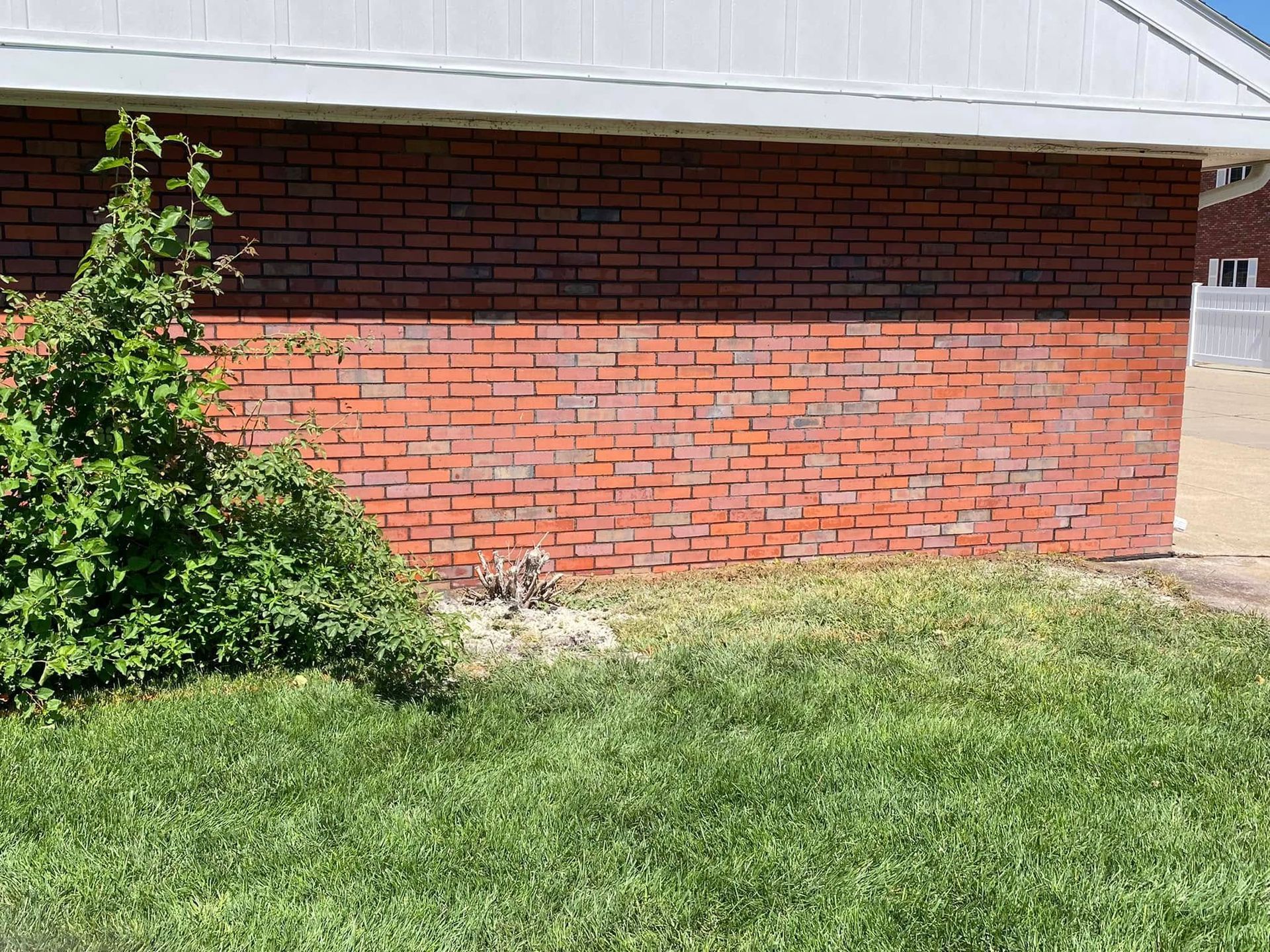 Red brick house wall with white trim, grass lawn, and leafy shrub in the foreground.