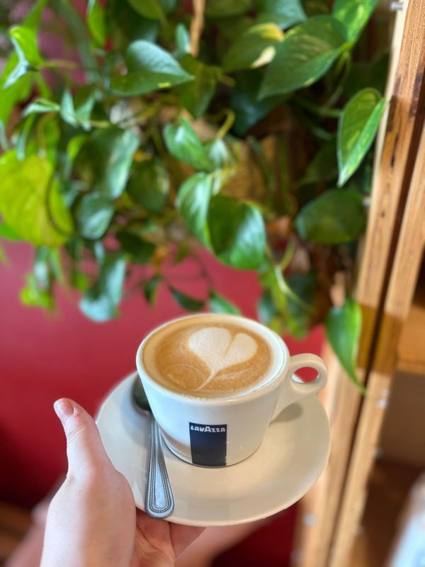 Latte in a white cup and saucer on a red table, with a leafy plant in the background