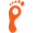 Foot