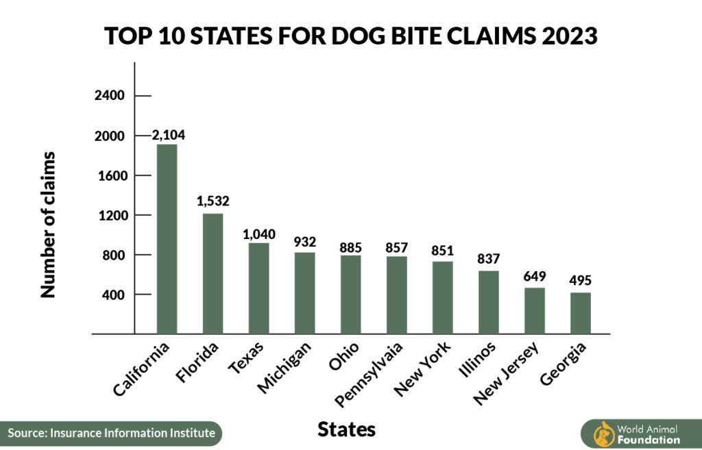 A graph showing the top 10 states for dog bite claims in 2023 A graph showing the top 10 states for dog bite claims in 2023