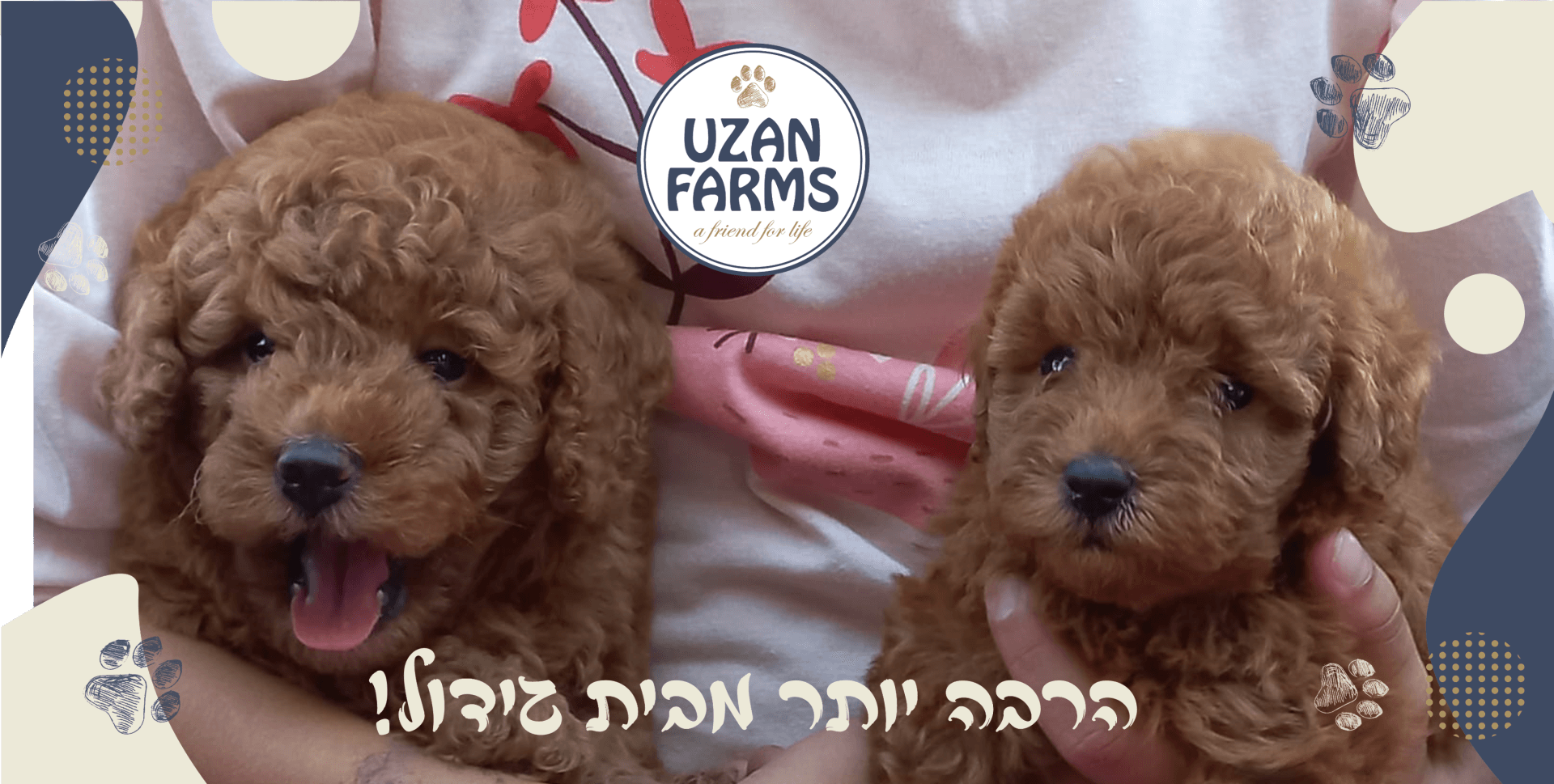 האם גור צריך תיחום ולמה האם גור צריך תיחום ולמה
