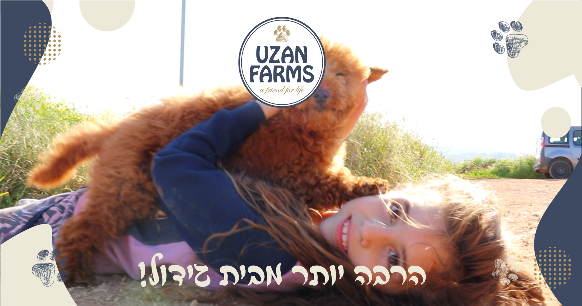 למי מתאים גור פודל גזעי למי מתאים גור פודל גזעי