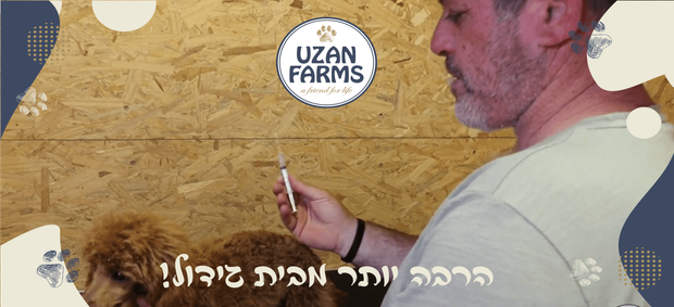 ד