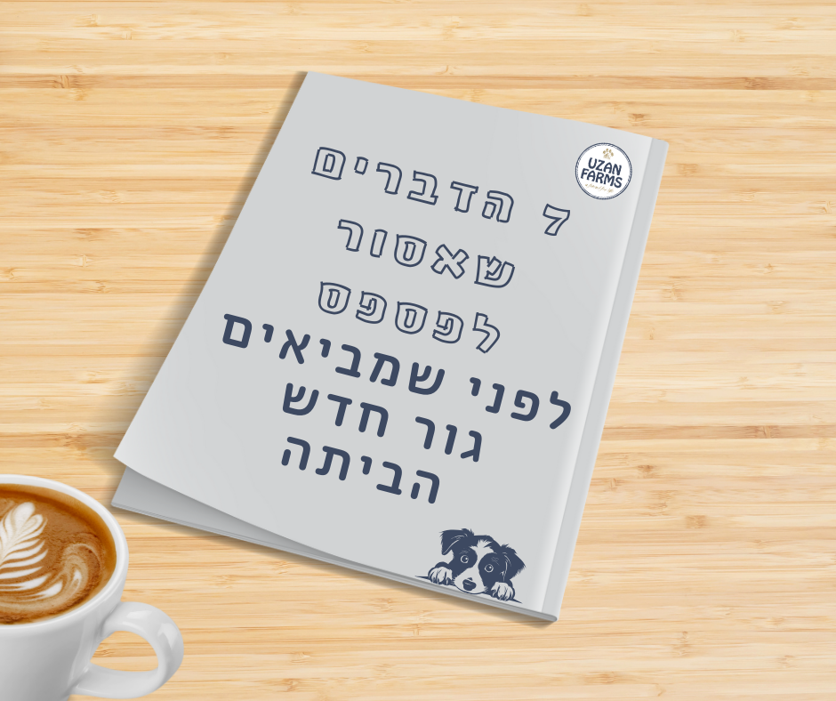 מדריך הכוונה איך לבחור גור, ואיך למצוא מגדל אמין מדריך הכוונה איך לבחור גור, ואיך למצוא מגדל אמין