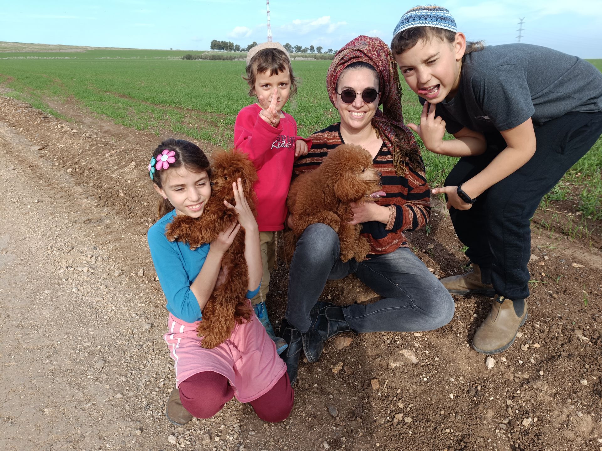 איך לבחור גור פודל גזעי איך לבחור גור פודל גזעי