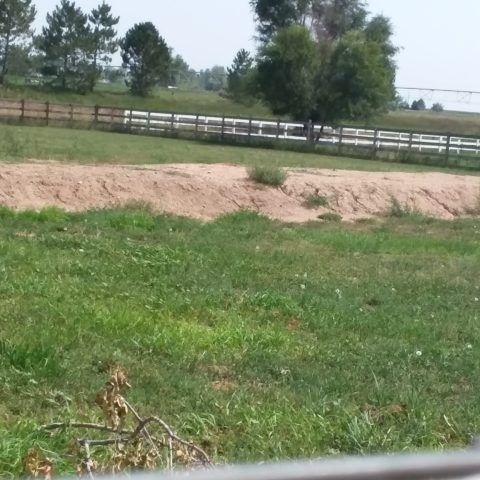 Grassy field with a dirt ditch, trees, and a white fence in the background under a clear sky