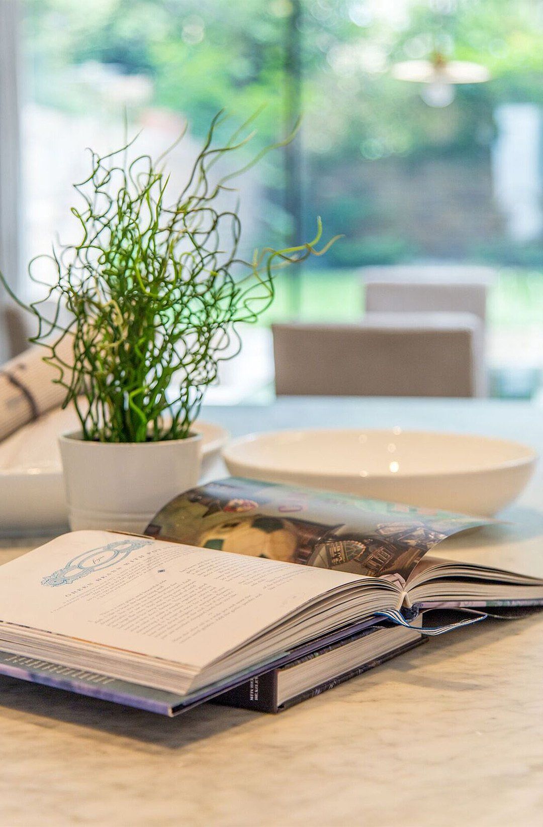 Book and plant closeup interior design