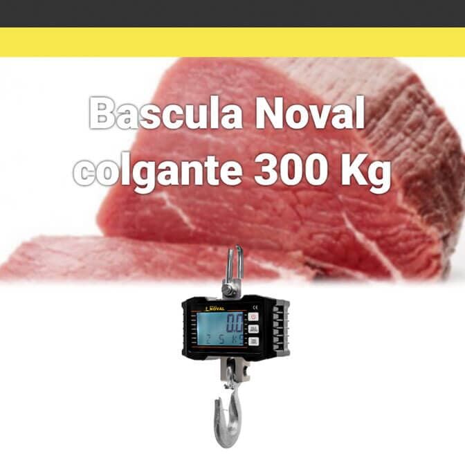 BÁSCULAS GALLO
