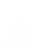 Star Tree Services LLC
