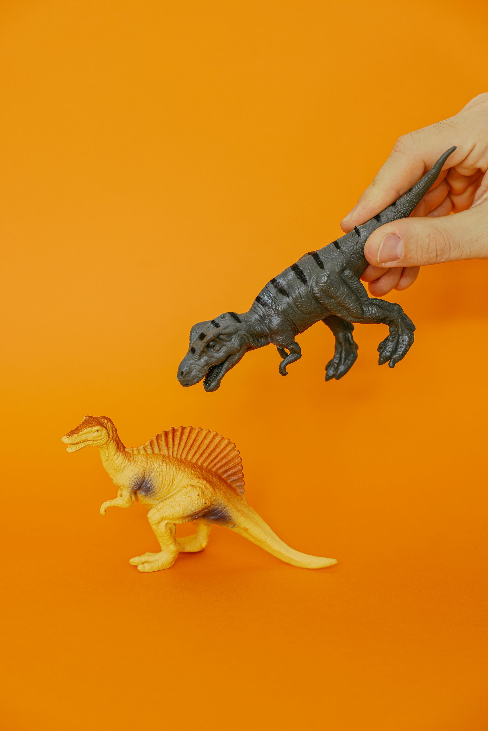 Two animal in orange background