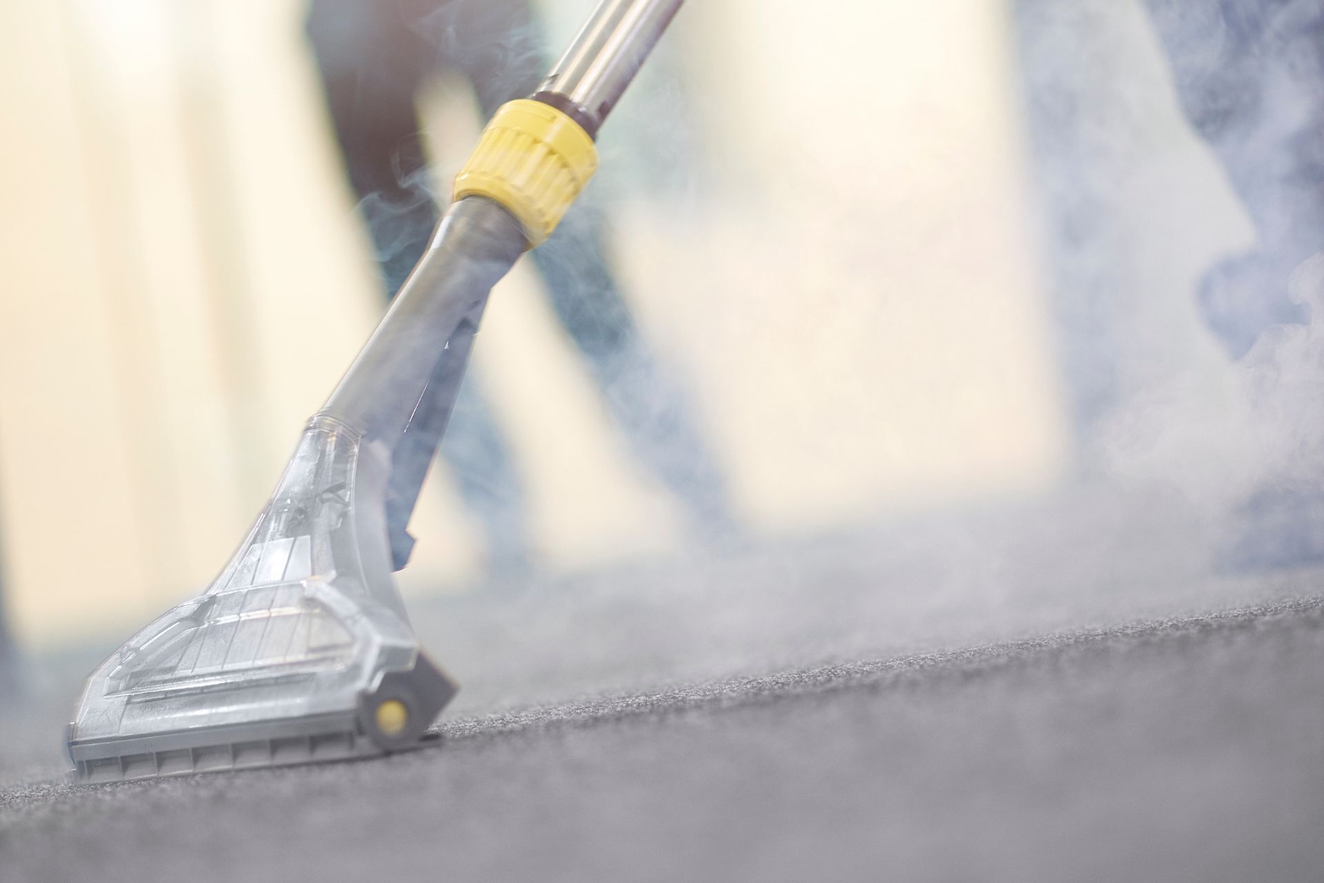 steam cleaning carpet