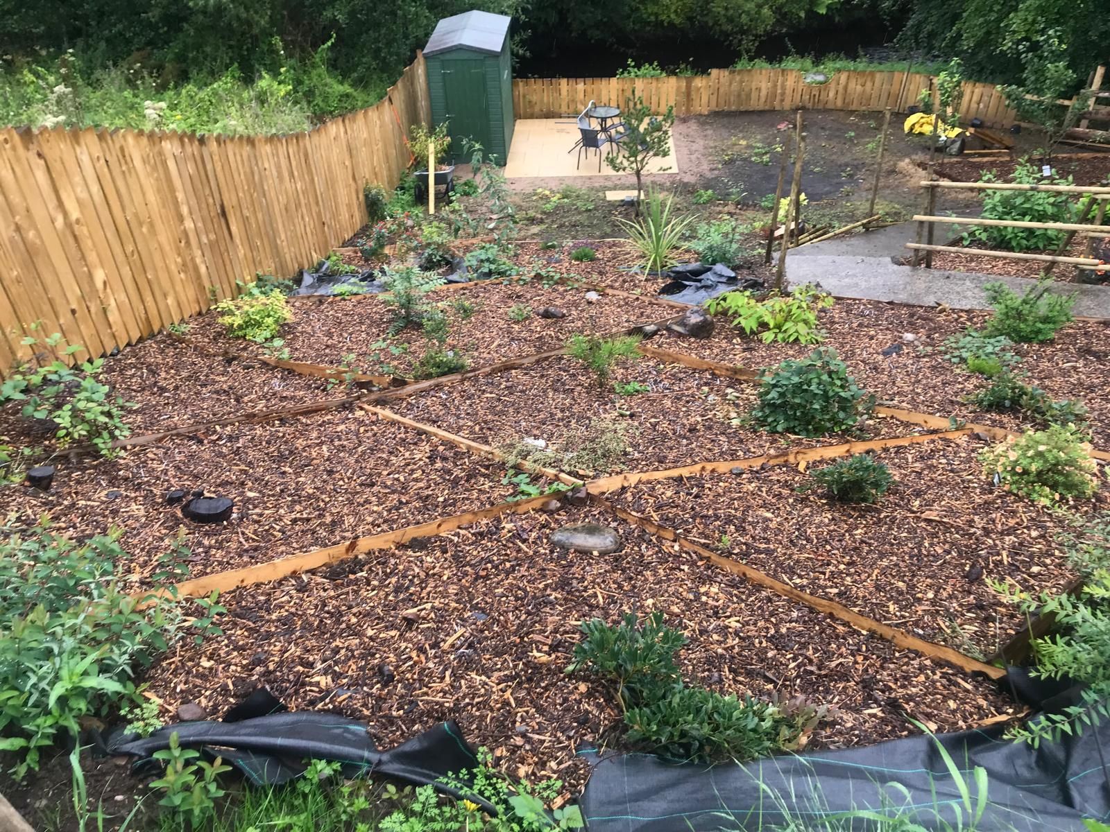 A garden filled with lots of plants and a wooden fence.