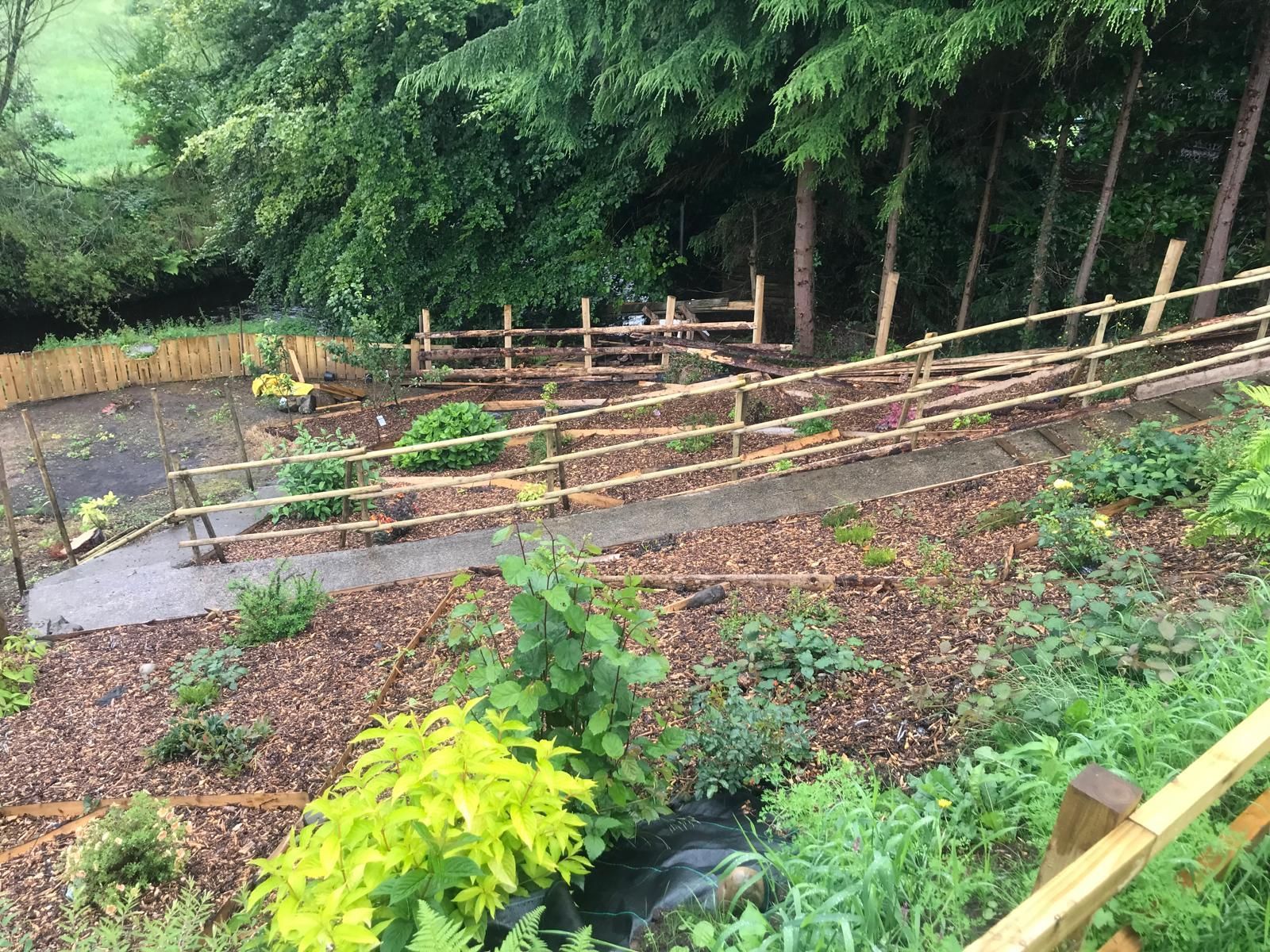 A wooden fence is surrounded by trees and plants in a garden.