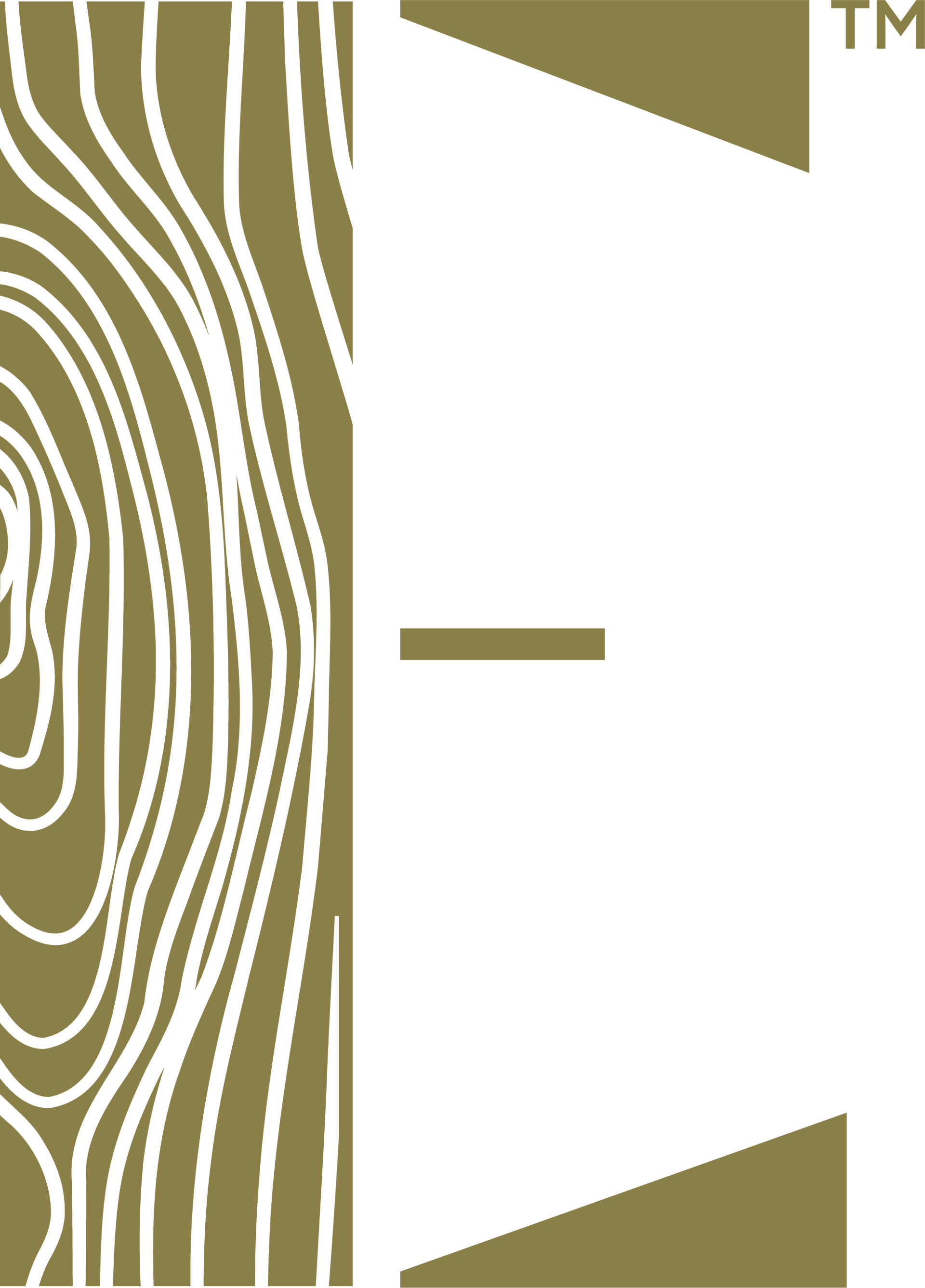 Everis Logomark