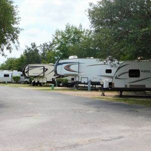 RVs parked in a row at a campground, some with awnings extended, on a cloudy day.