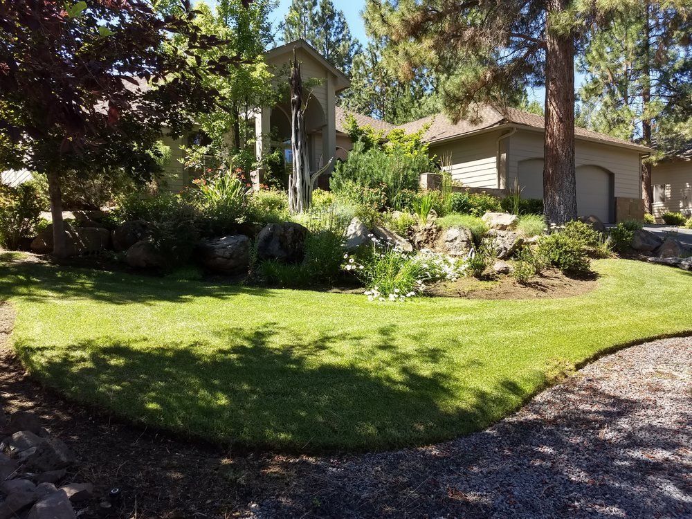 Beautiful landscape of green grass lawn