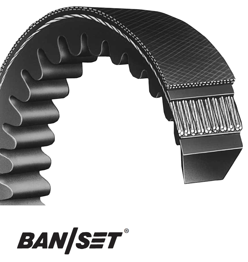 Close-up of a Ban/Set V-belt with toothed interior and reinforced exterior.