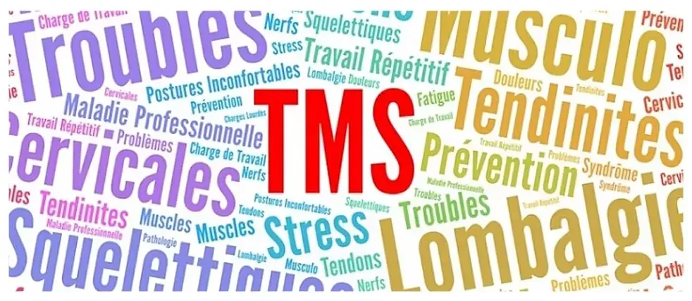 Nuage de mots autour des TMS (troubles musculo-squelettiques).