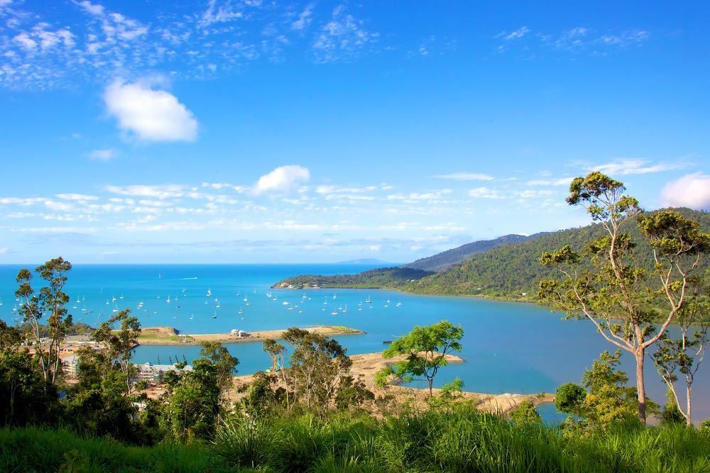 A View Of A Large Body Of Water Surrounded By Trees On A Sunny Day — Dieselflash Whitsundays in Airlie Beach, QLD