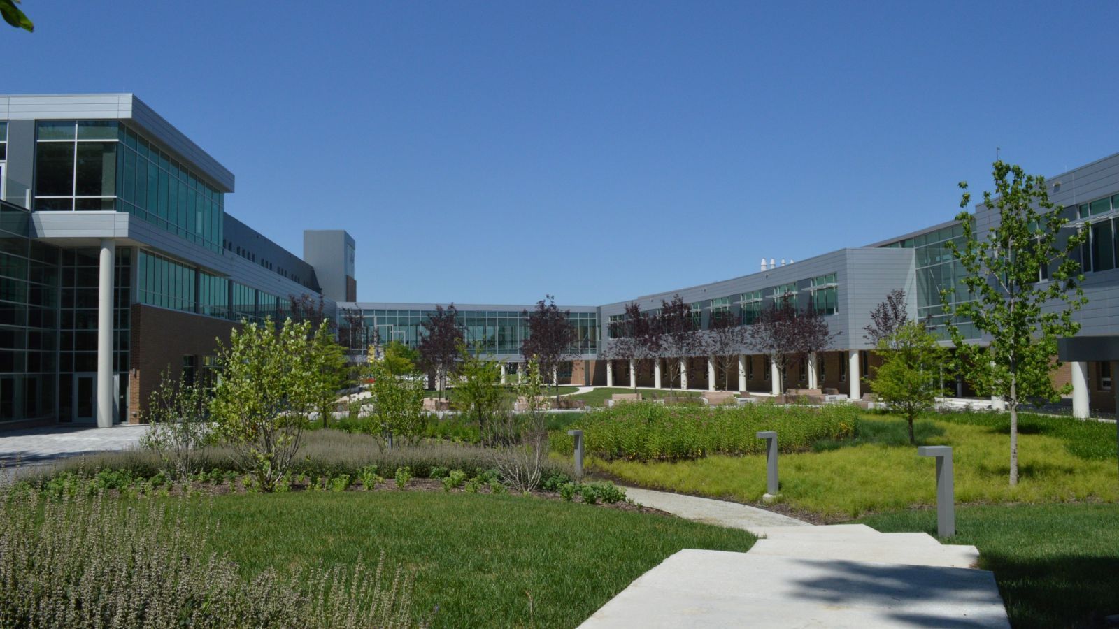 A modern U-shaped office building surrounding a landscaped courtyard with green grass, small trees, and a stone pathway.