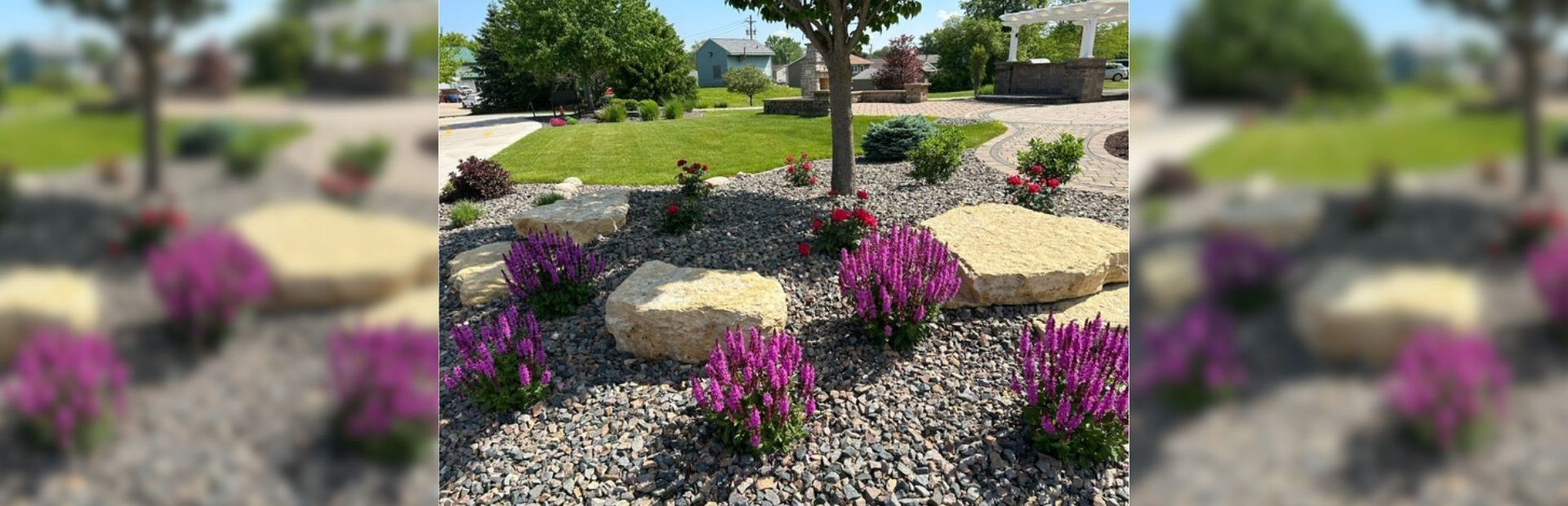 A landscape garden with purple flowering perennials, large beige boulders, and grey gravel mulch under a tree.