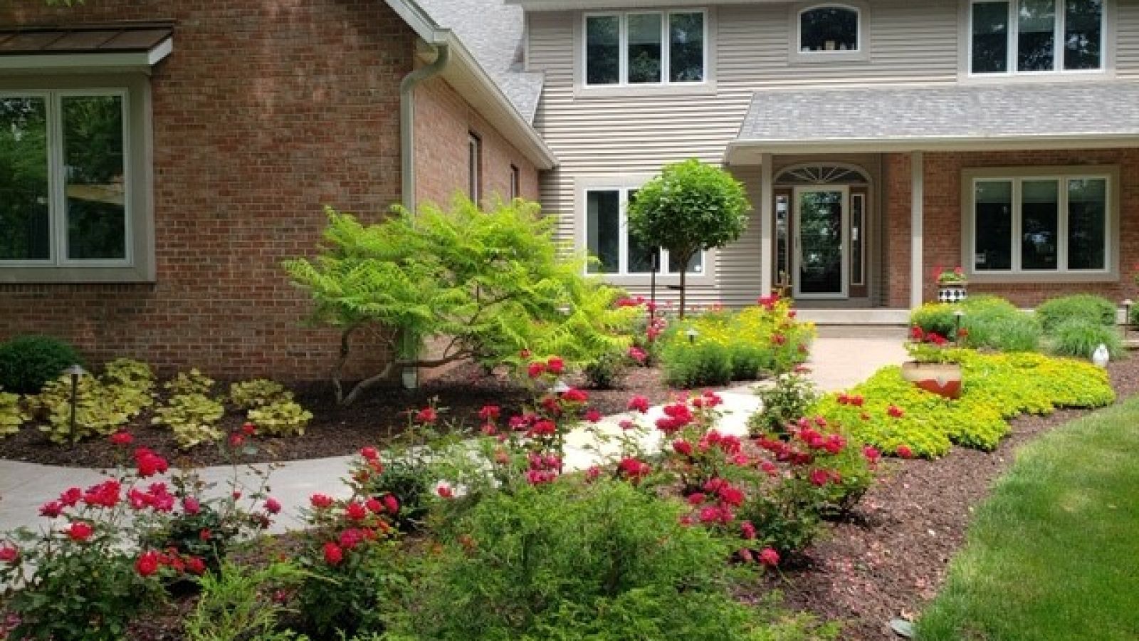 A brick and siding house with a vibrant garden path leading to the front door. Red roses and green foliage line the walkway.