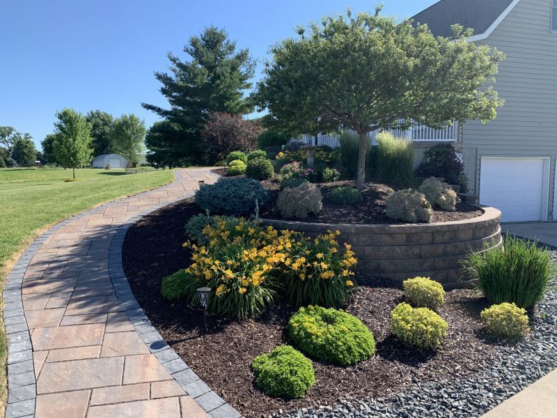 A curved paver walkway leads past a tiered garden bed featuring yellow daylilies, shrubs, and a small tree.