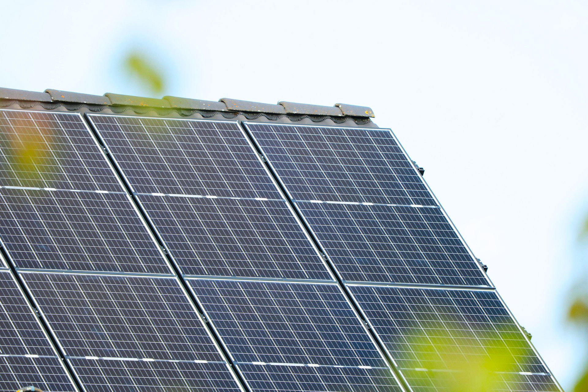 Solar panels on a rooftop against a bright sky, with blurred green leaves in the foreground