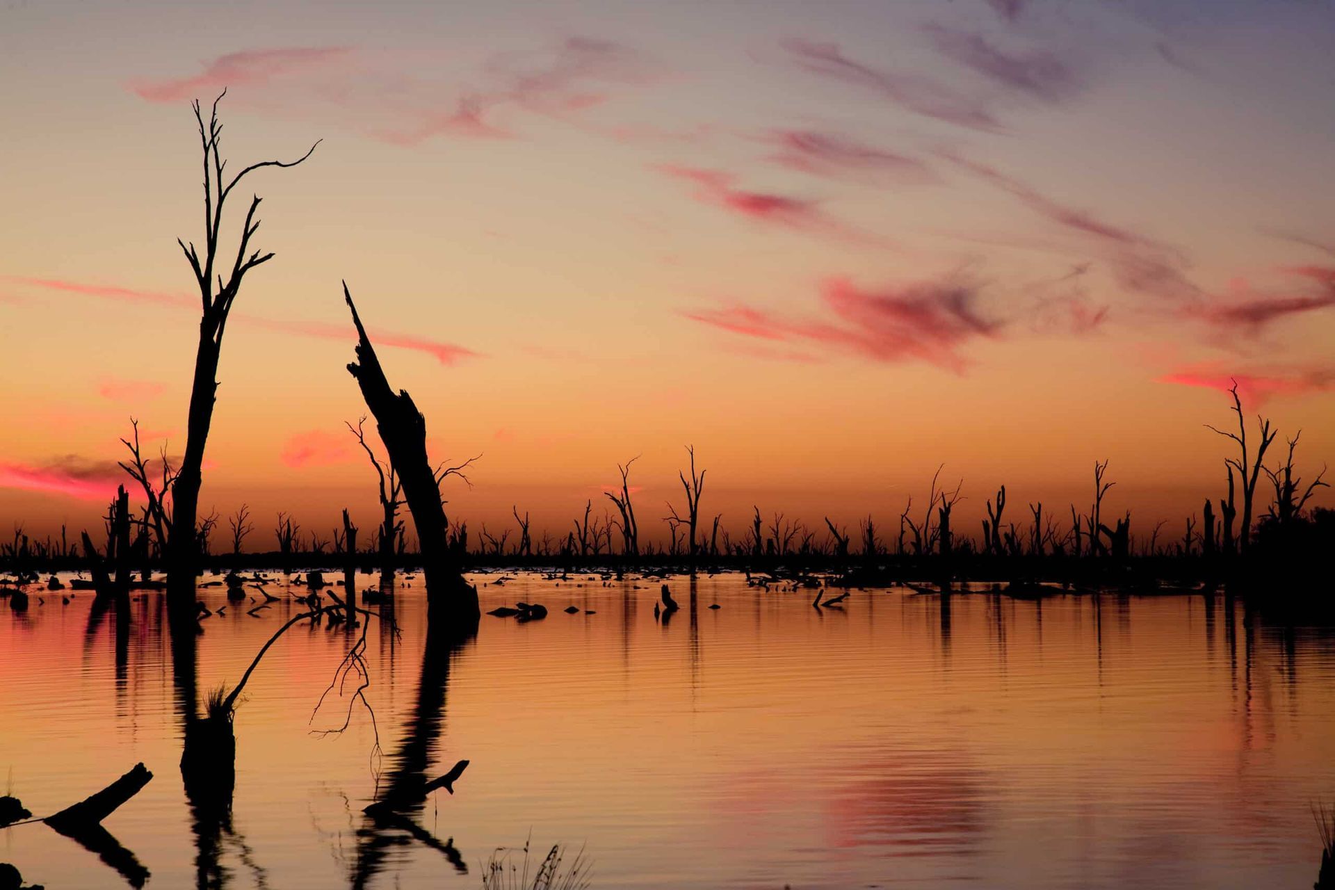 A Sunset Over A Lake With Trees — Diverse Poolcare–Pool Fence Inspections & Compliance Certificates In Yarrawonga, VIC