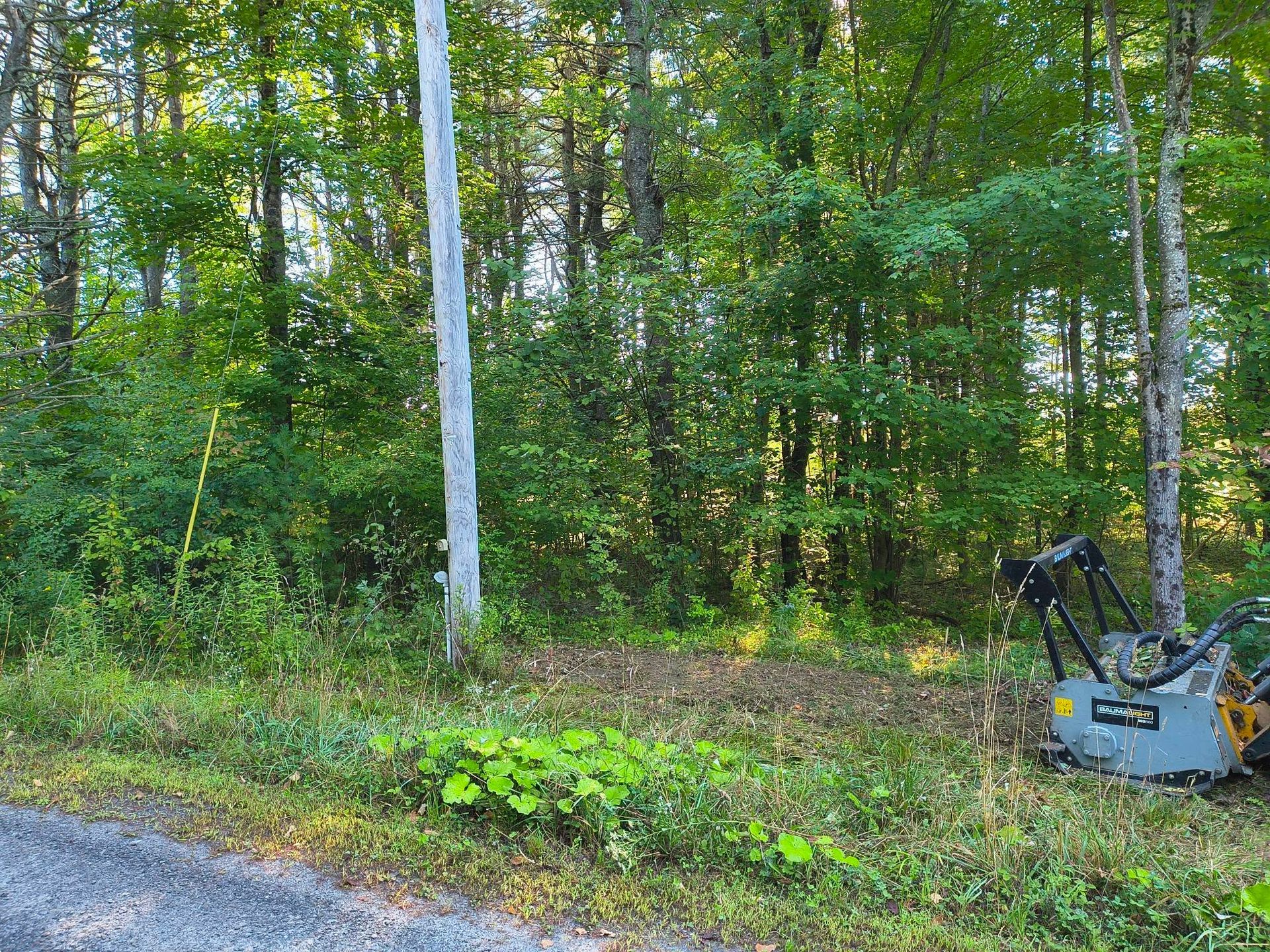 Roadside woods with dense green trees and a small gray machine at the right edge.