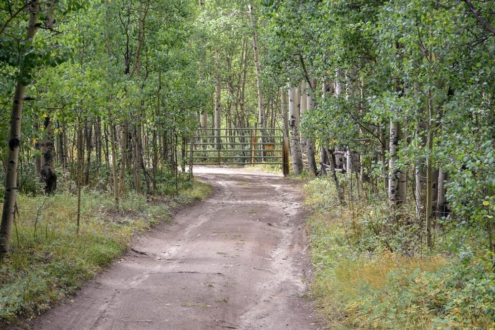 Dirt path winding through a green wooded forest toward a wooden fence